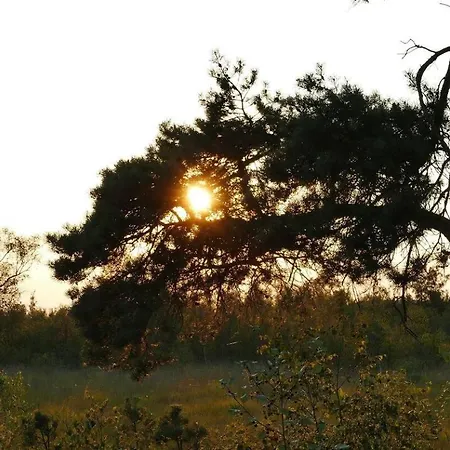 Glamperen Met Eigen Badkamer In De Peel Voor 6 Pers Happy *