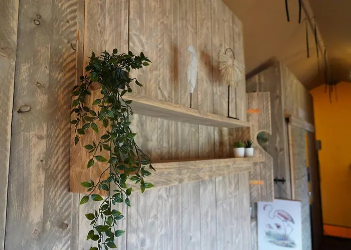 Glamperen Met Eigen Badkamer In De Peel Voor 6 Pers Happy Glamping Behelp