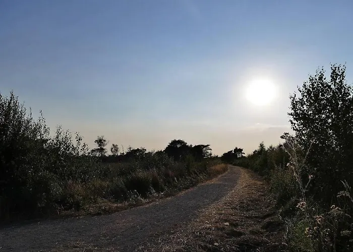 Glamperen Met Eigen Badkamer In De Peel Voor 6 Pers Happy Glamping