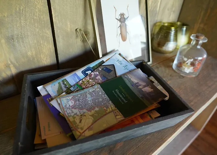 Glamping Glamperen Met Eigen Badkamer In De Peel Voor 6 Pers Happy