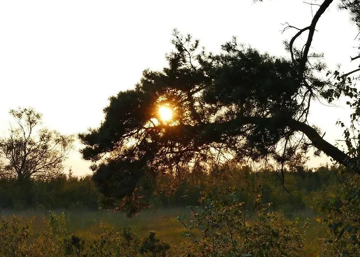 Glamperen Met Eigen Badkamer In De Peel Voor 6 Pers Happy *