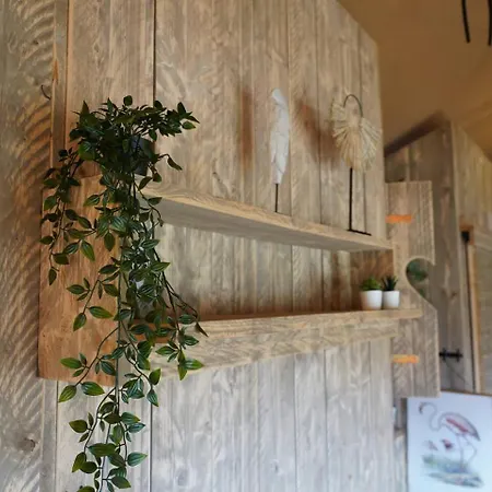Glamperen Met Eigen Badkamer In De Peel Voor 6 Pers Happy Tente de luxe Behelp